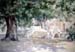 Bild 03
